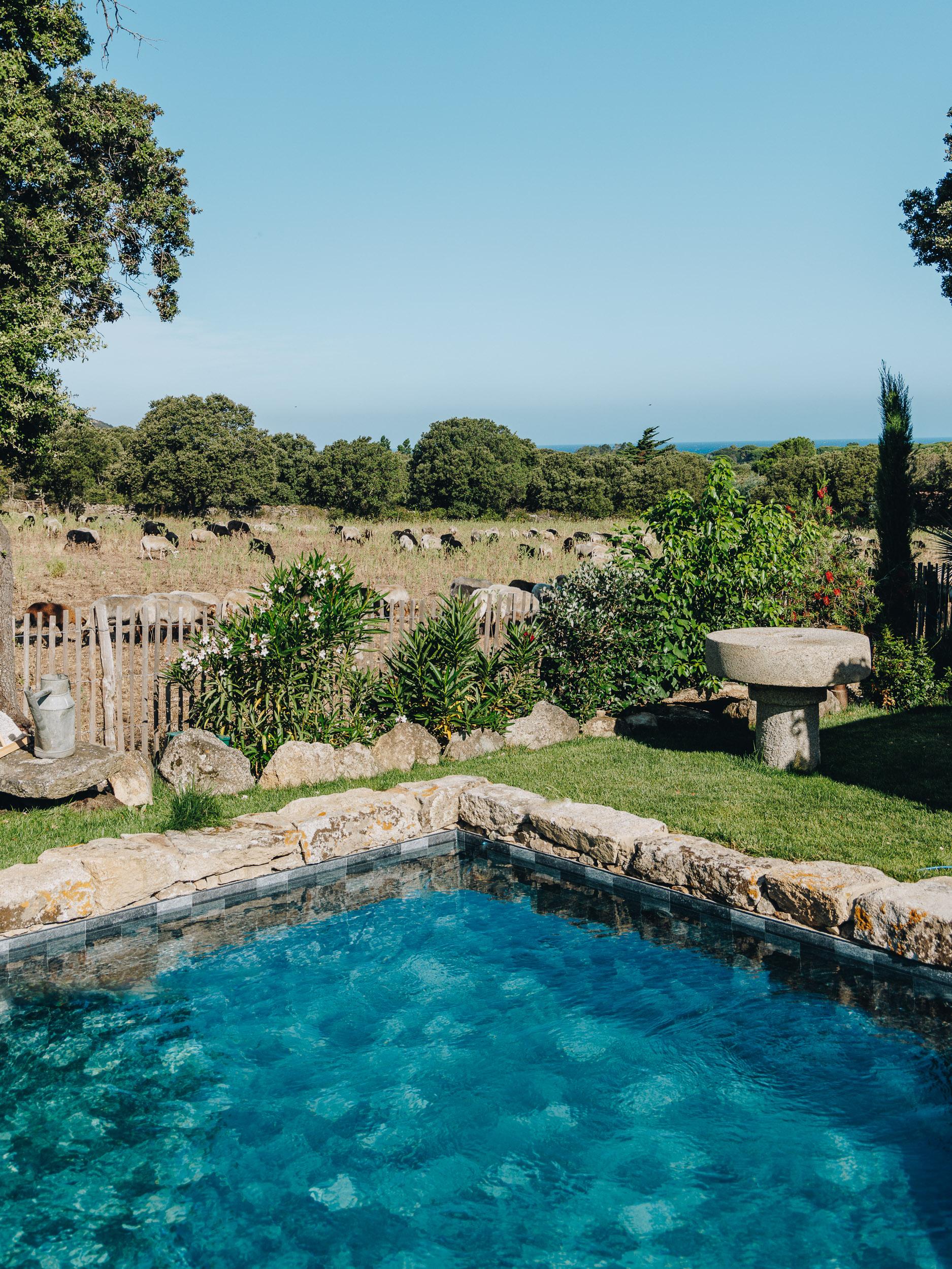 location villa nature pigna