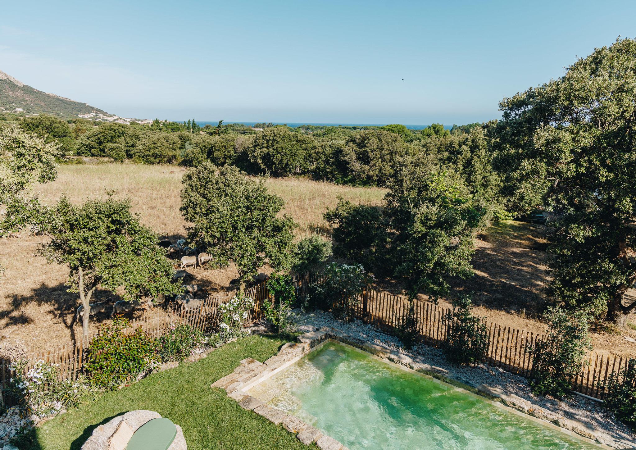 location villa proche calvi