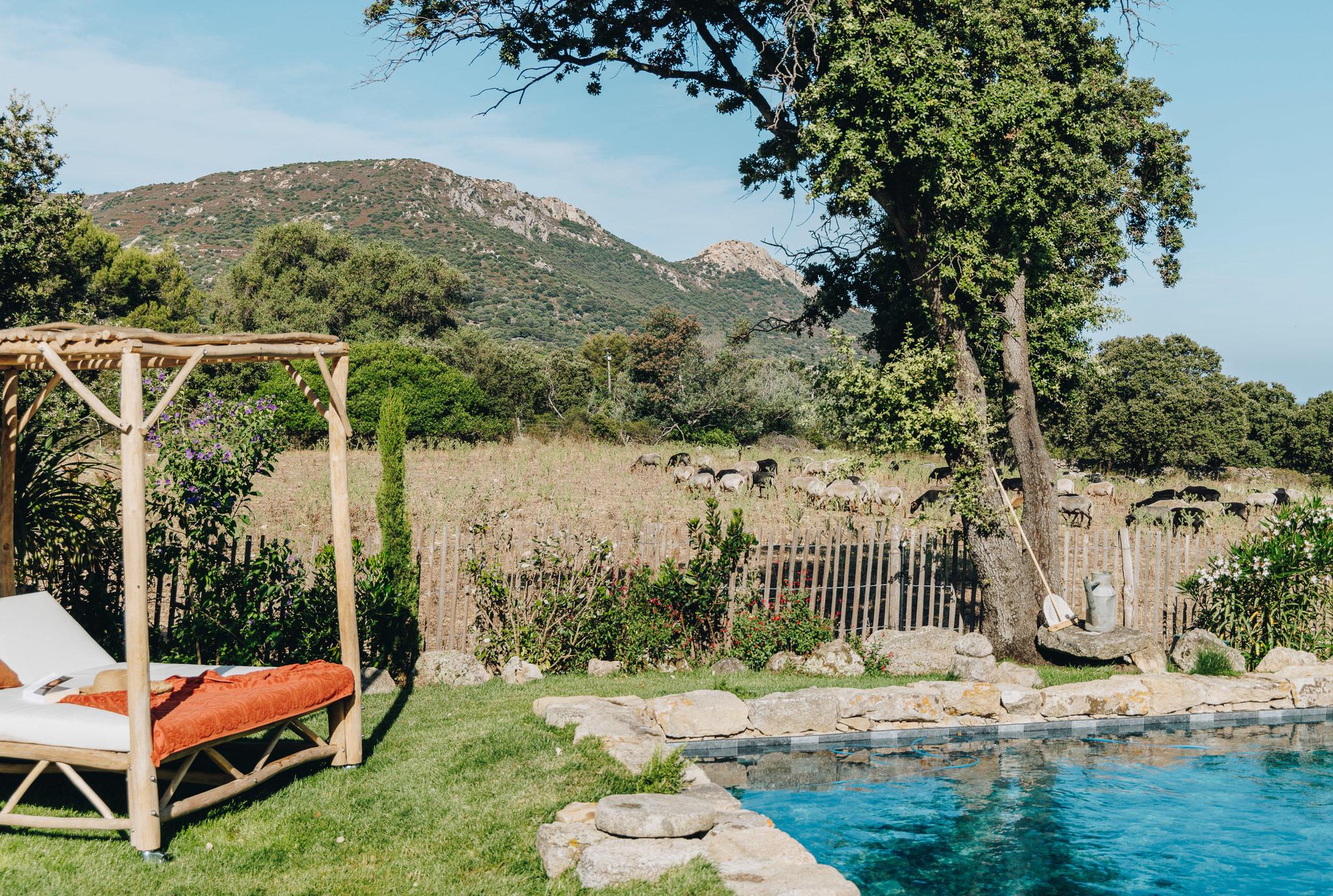 location villa nature calvi