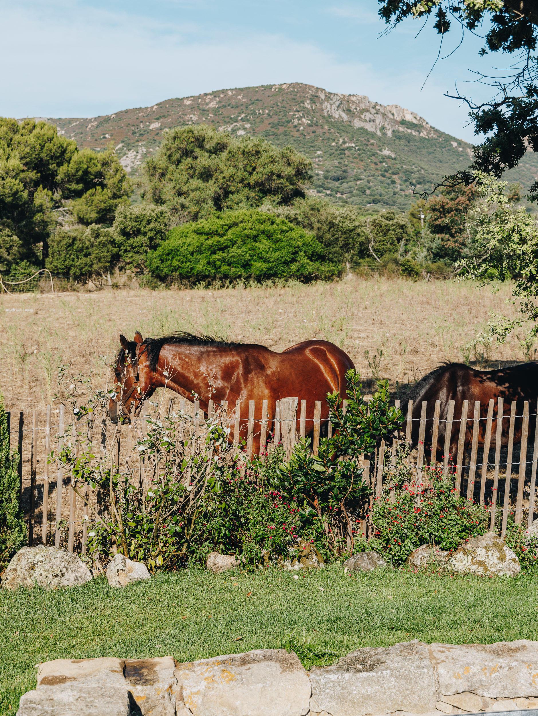 villa nature corse