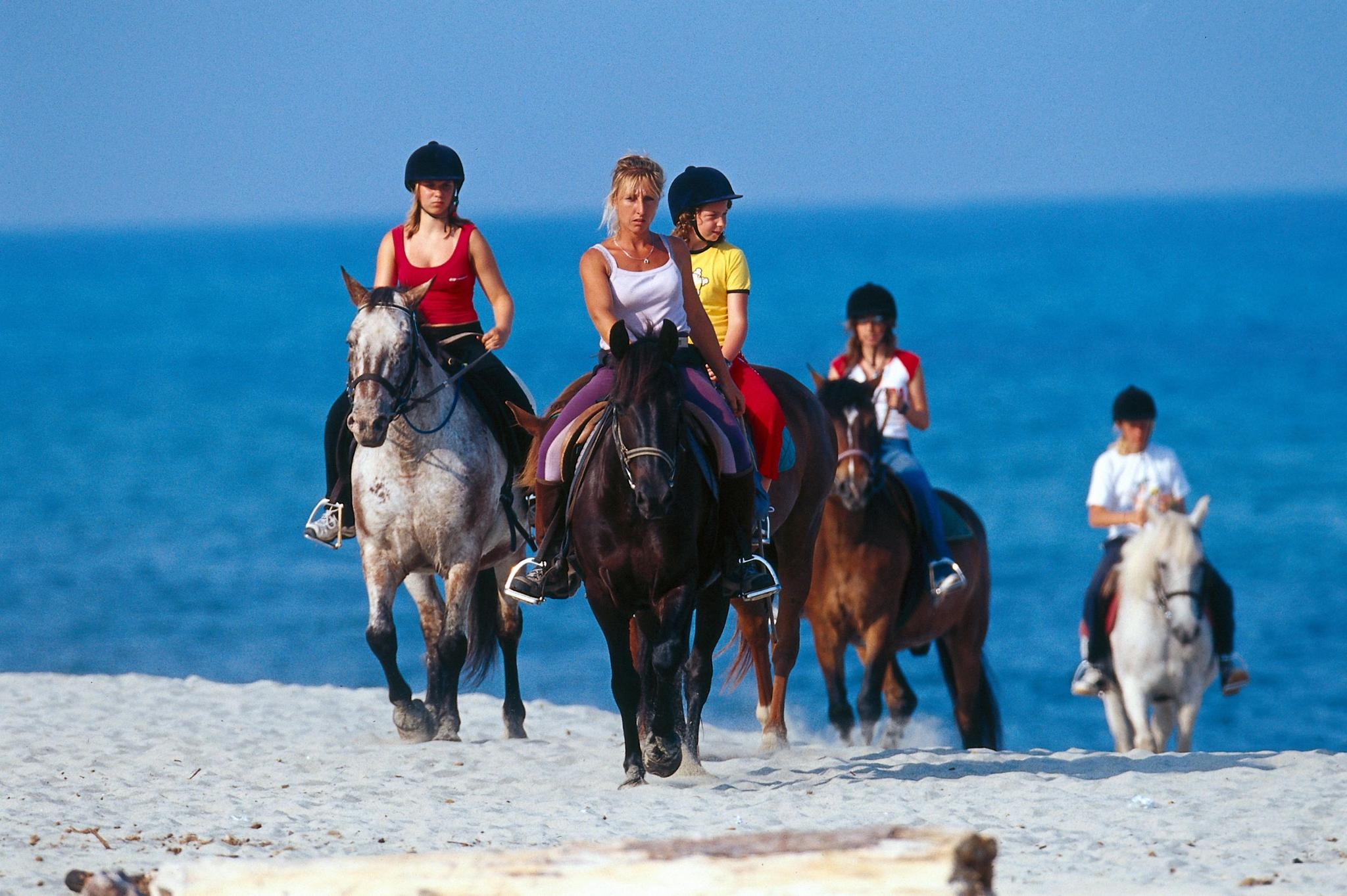 equitation corse